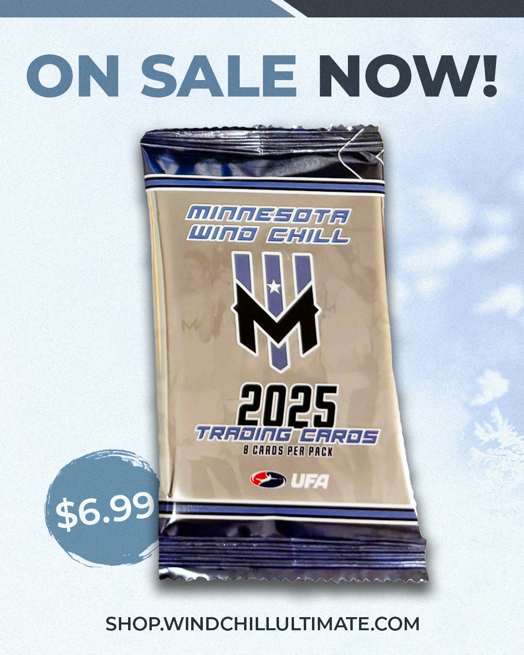 Wind Chill 2025 Series Trading Card Pack