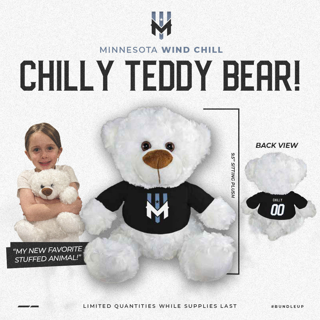 Chilly Teddy Bear