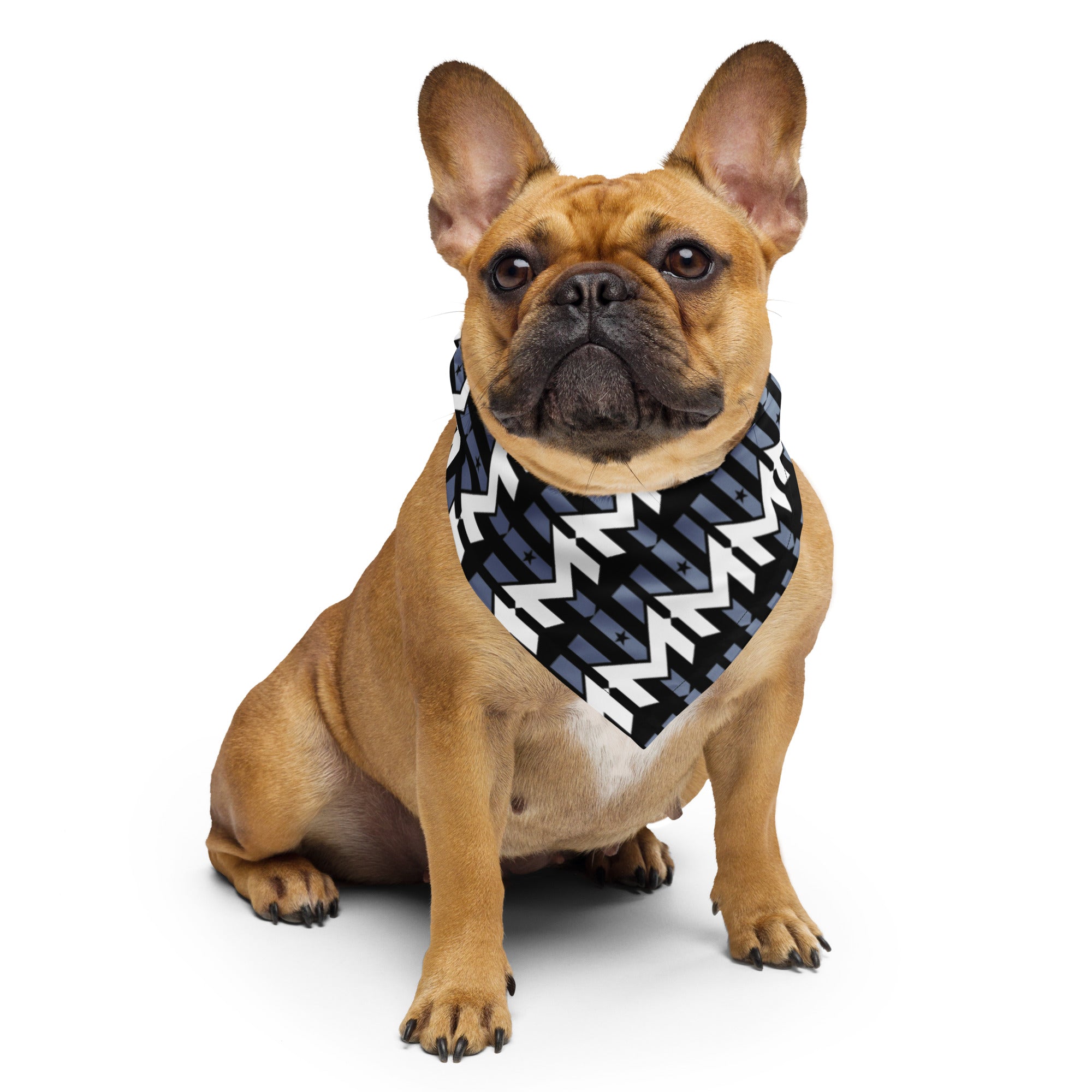 Wind Chill Black Pattern Bandana